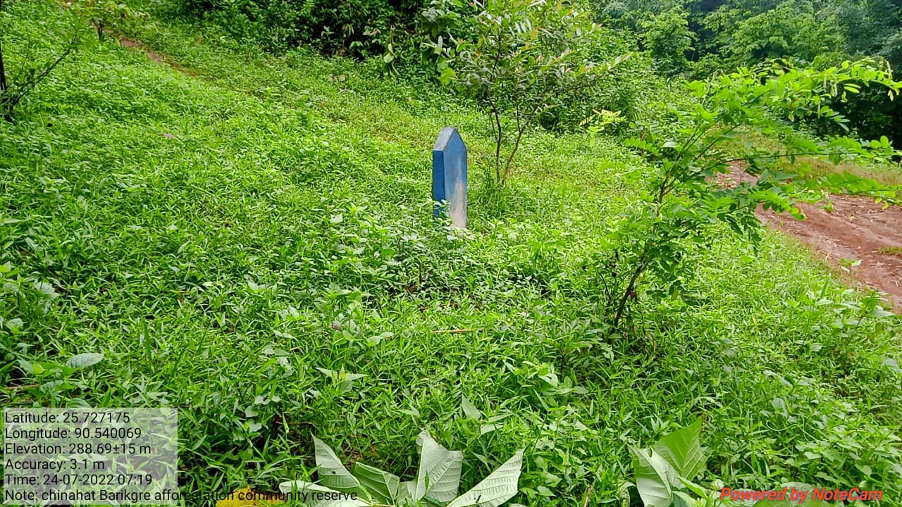 Chinabat Barikgre, Afforestation at Community Reserve